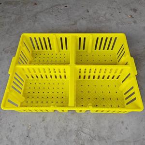 Prix bon marché PP 690*490*160mm jour vieux caisses de poussins en plastique boîte de Transport en plastique pour poussin caneton Gosling - Product Image 5