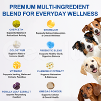Skin Comfort Immune Soft Chews Probiotiques Saveur Poulet avec Quercétine Bromélaïne Complément Alimentaire pour Chiens pour la Santé de la Peau