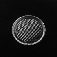 Disco de Sílice Fundida Resistente a Altas Temperaturas, Placa de Vidrio Óptico de Cuarzo UV con Orificio