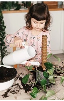 Matériel de jardinage Poteau d'escalade pour plantes en pot Poteau de noix de coco Poteau de mousse