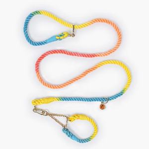 Pettorine e Guinzagli Premium in Nylon per Cani 2026: Comodi, Eleganti e dal Design Colorato - Product Image 2