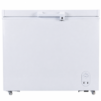 Congélateur coffre solaire 268L 12V/24V DC à compresseur, modèle BD/BC, 268 litres, système de congélation solaire pour la maison