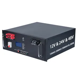 סוללת מהפך סולארי נטענת 24V 48V עם מובנה BMS ליתיום יון פוספט מארז תאים 51.2V 100Ah 200Ah LiFePO4 סוללה