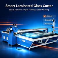 Machine de découpe semi-automatique pour verre feuilleté PVB/EVA, avec marquage laser pour film Low-E et marquage papier, pour verre architectural