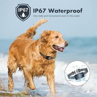 Neues Verbessertes Farbdisplay Wasserdichtes IP67 Anti-Bell-Kontrollhalsband für Hunde Vibration 4 Modi Wiederaufladbarer Akku Umweltfreundlich