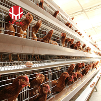 Cage à poules pondeuses conventionnelle à 3 niveaux en fil d'acier galvanisé avec abreuvoir à tétine et mangeoire pour ferme avicole