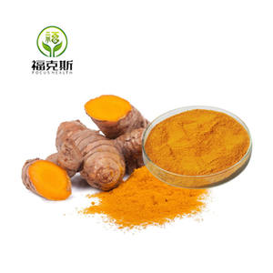 Ekstrak akar kunyit Kurkumin <span class=keywords><strong>95</strong></span>% suplemen makanan bubuk Kurkumin kunyit ORGANIK MURNI - Product Image 1