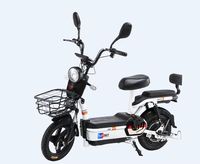 Bicicleta Eléctrica de 2 Plazas con Marco de Acero, Motor sin Escobillas de 500W, 3 Velocidades, Suspensión Trasera, Batería de Plomo-Ácido de 48V, Ruedas de 14 Pulgadas, 50 km/h, Sensor, Ligera