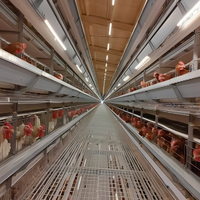 Lampes LED Dimmables pour Volailles, Poulets de Chair et Reproducteurs, 2700K-6000K, IP67, Sans Scintillement, Équipement d'Élevage, Ampoules LED