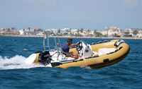 Bateau à rames Semi-rigide du zodiaque, gonflable, côtelé 390