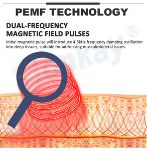 Máquina de Terapia <span class=keywords><strong>Tecar</strong></span> y PEMF 2 en 1 con Pantalla Táctil de 8 Pulgadas, para Uso Animal, Alivia el Estrés, con Capacitación Gratuita - Product Image 2