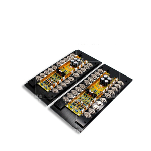 Amplificateur de puissance haut de gamme Kyyslb Pure Classe A, version regravée Golden Voice - Product Image 5