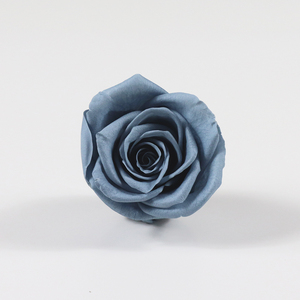 Teste di <span class=keywords><strong>Rose</strong></span> Stabilizzate All'Ingrosso, Aspetto Naturale di Fiori Freschi Eterni per Tutte le Occasioni, Regalo e Decorazione, OEM ODM - Product Image 4
