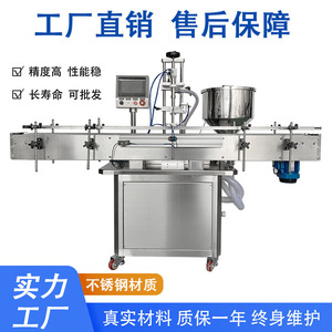 Machine de remplissage de pâte entièrement automatique avec pompe à rotor pour bouteilles, 220 V, haute précision, garantie de 2 ans - Product Image 4