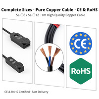 Capteur de proximité carré SL-8H2 à vente directe d'usine, pas cher, avec protection contre les courts-circuits, distance de détection de 2,5 mm, DC 12-24V