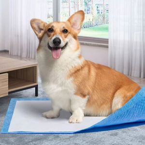 Almohadillas de Entrenamiento para Cachorros Súper Absorbentes e Impermeables, Pañales Desechables para Perros - Product Image 2