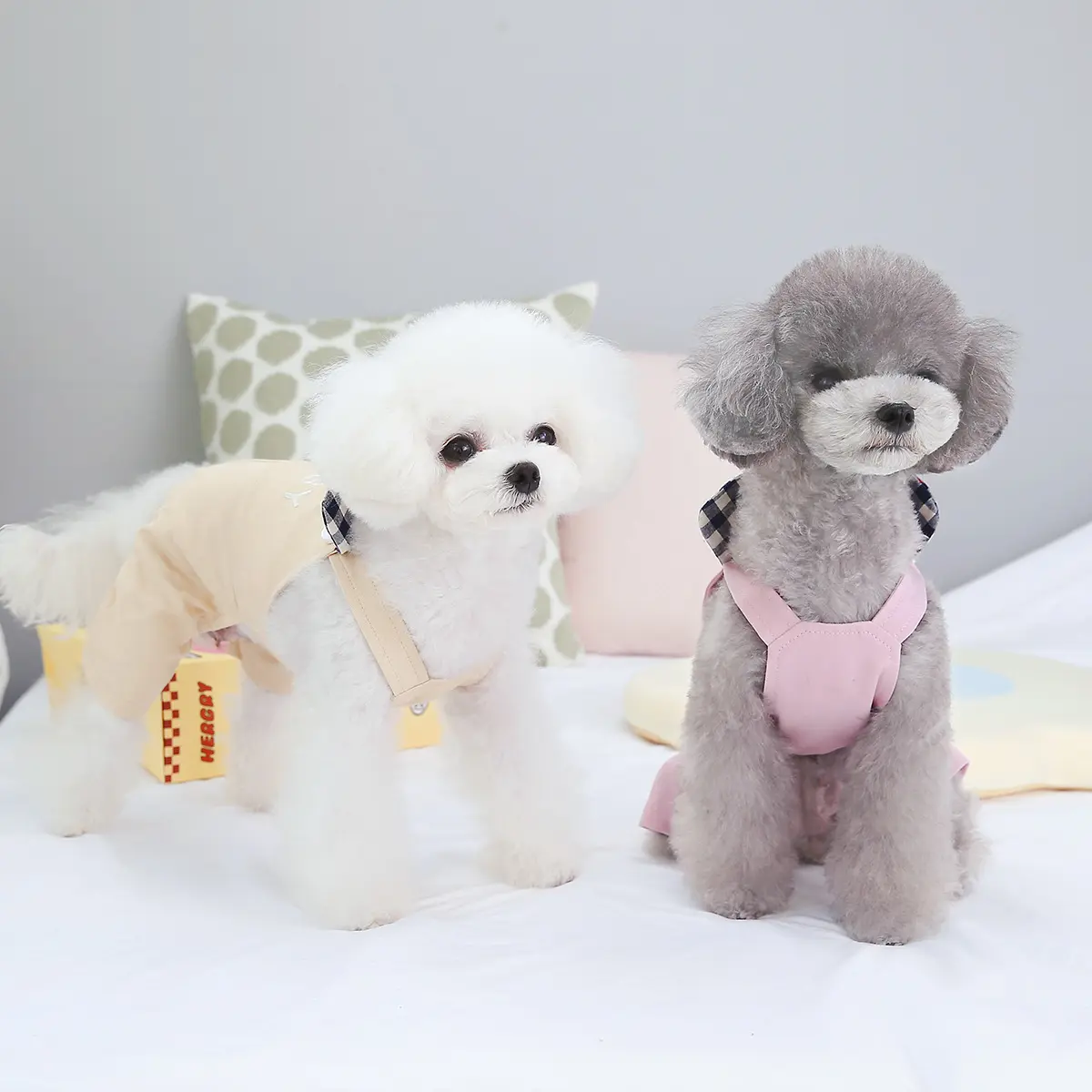 Zachte Katoenen Comfortabele Huisdierenoveralls Lente Nieuwe Mooie Hondenkleding