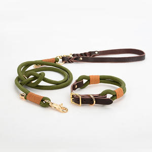 Cuerda lisa de nailon para mascotas, correa de cuero para perro, cadena de p, <span class=keywords><strong>collar</strong></span> y correa personalizada naranja, venta al por mayor - Product Image 1