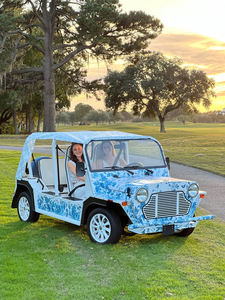 Nouveau chariot de golf électrique de voiture classique certifié CE ISO <span class=keywords><strong>Mini</strong></span> voiture de luxe de véhicule de <span class=keywords><strong>Moke</strong></span> à vendre - Product Image 6