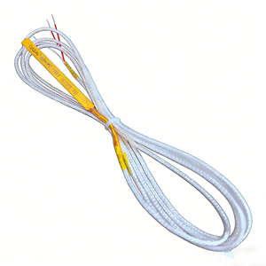 مستشعر حرارة صناعي عالي الدقة بمقاومة حرارية بلاتينية <span class=keywords><strong>PT100</strong></span>، نظام استشعار أحادي المسبار بثلاثة أسلاك - Product Image 3