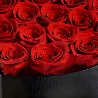 Boîte de 16 roses éternelles – Cadeau pour femme, maman, épouse – Fête des Mères, Saint-Valentin, Anniversaire, Noël, Anniversaire de mariage – Romantique