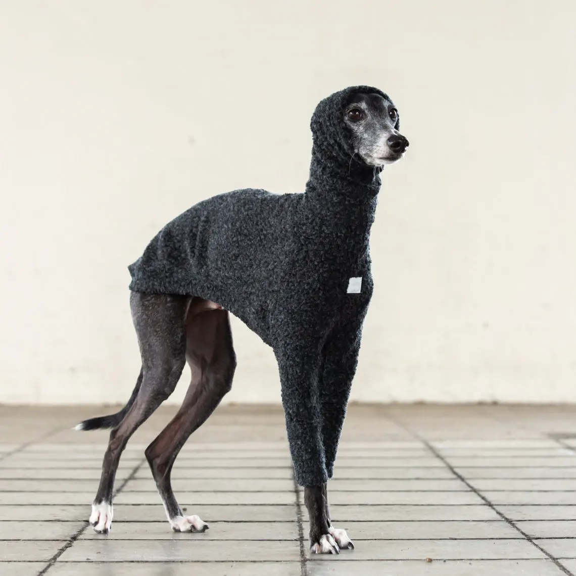 Qiqu negozio di animali prodotto online per abiti firmati per cani abbigliamento levriero italiano maglione di lana a maniche lunghe in maglia Boa di lana italia