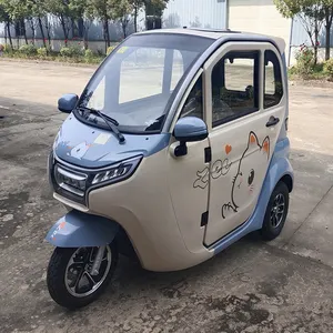 厂家批发三轮汽车e-trike封闭式车身电动三轮车