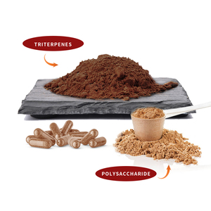 Mushroom Extract <strong>Ganoderma</strong> Lucidum Reishi Mushroom Spore <strong>Powder</strong> <strong>Capsule</strong> Various Bottle Can Drum - Product Image 4