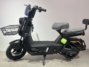 Kit de conversion Paige 350W économique avec batterie intégrée 48V, moteur sans balais, freins à disque hydrauliques, 6 vitesses, puissant 350W - Product Image 2