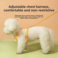 Harnais réglable anti-traction pour animaux de compagnie, avec ornement floral 3D, en velours côtelé, confortable, pour petits chiens, pour la marche en intérieur et en extérieur