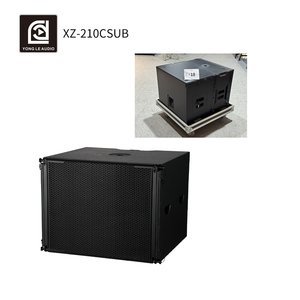 Caisse de basses passive double 18 pouces 650W Big Power XZ-210CSUB en néodyme avec coque en bois pour audio vidéo professionnel - Product Image 2