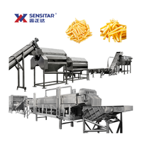 Sensitar Grootschalige Volautomatische Hoge Productiviteit Frietjes Lijn Efficiënte Chips Maken Fabriek Machine Met Friteuse