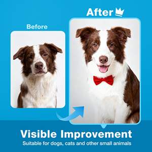 OEM 100 pièces Lingettes humides pour animaux de compagnie de haute qualité, écologiques, pour chiens et chats, peau sensible, lingettes humides pour animaux de compagnie - Product Image 4