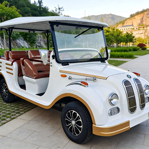 Nuevo Diseño de Autobús Turístico Eléctrico y Vehículo Eléctrico Clásico para Transporte en Zoológicos - Product Image 2