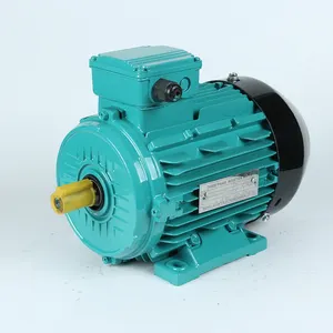 Y2 serie elektrische motor (y2-112m-6 2.2kw 950 rpm)