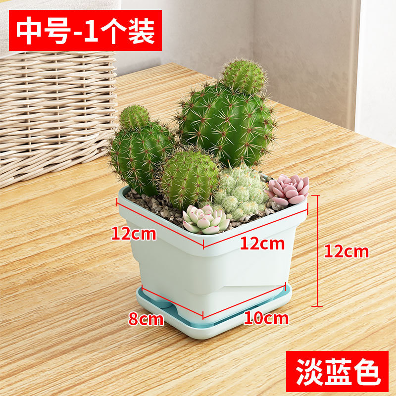 สไตล์ B สีฟ้าอ่อน ดีไซน์ปากเหลี่ยม 12ซม. พร้อมฐาน [1 ชิ้น]