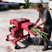Machine à couper la paille à essence pour la préparation du fourrage agricole, le broyage de l'herbe et la préparation d'aliments pour le bétail