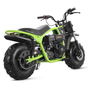 Motocicleta Tao Motor 2025 con Llantas Anchas, Frenos de Disco y Suspensión, Mini Moto de 196cc - Product Image 2