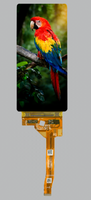 Módulo de Pantalla AMOLED de 6.6 Pulgadas 1080x2400 con Interfaz MIPI, Frecuencia de Actualización de 60Hz/30Hz, Pantalla Industrial para Smartphone