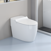 WC intelligent non électrique avec réservoir intégré, lavage arrière, lavage féminin, en céramique, monobloc, bidet intelligent pour salle de bain