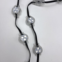 Luces LED de Punto de 30 mm, 12 V, IP67, para Paisajes Exteriores, Navidad, Fiestas, RGB, SMD5050, Precio de Fábrica