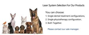 Portable YUWEI VT101 Veterinary Pet <strong>Surgery</strong> 980nm Diode Laser Machine 15W/30W CE Certified Biquartz Optical Fiber <strong>Instrument</strong> - Product Image 4