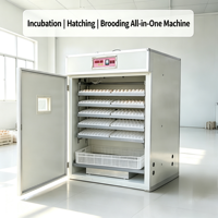 Incubadora Automática de Huevos 880 con Control Digital de Temperatura y Humedad para Aves de Corral