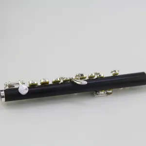 Woodwind Instruments Ebony Body With Ebony Piccolo