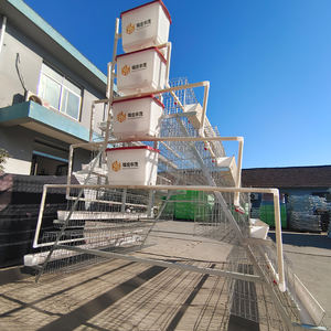 Type 3/4 Laag 96/120/128/160 Vogels Capaciteit Metaalgaas Batterijsysteem Voor Pluimveehouderij Eierlaag Kooi - Product Image 5