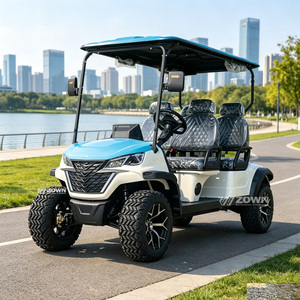 Solutions de Rangement Pratiques pour Chariots de Golf Électriques en Gros – Fabrication Artisanale de Qualité pour Clubs de Golf, Complexes Balnéaires et Achats Professionnels - Product Image 1
