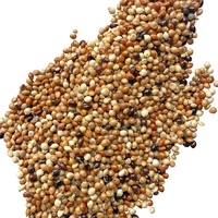 Mélange de graines de qualité supérieure Geshifeng pour oiseaux, alimentation pour perroquets, millet naturel, graines de canaris, graines de tournesol, pour canaris et perruches, fabrication en usine