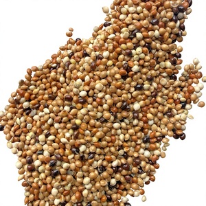 Mezcla de Semillas Premium <span class=keywords><strong>para</strong></span> Aves, Alimento <span class=keywords><strong>para</strong></span> Loros, 100% Natural, Semillas de Mijo y Canario <span class=keywords><strong>para</strong></span> Periquitos, Venta al por Mayor de Fábrica, OEM - Product Image 4
