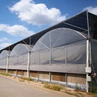 Fournisseur de serres fournit des structures de serres en acier galvanisé de 1000 m² et des kits de serres multi-spans en plastique chinois.