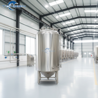 Cuve de Fermentation Conique Industrielle Tonsen 3000L-8000L en SUS304 à Double Zone avec Enveloppe à Cavités, PLC, Bras de Racking, CIP, Certifiée CE PED
